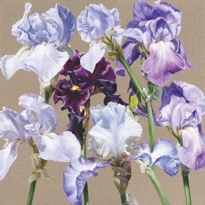 Blue Iris Rhapsody original acrylic painting by Sarah Caswell
