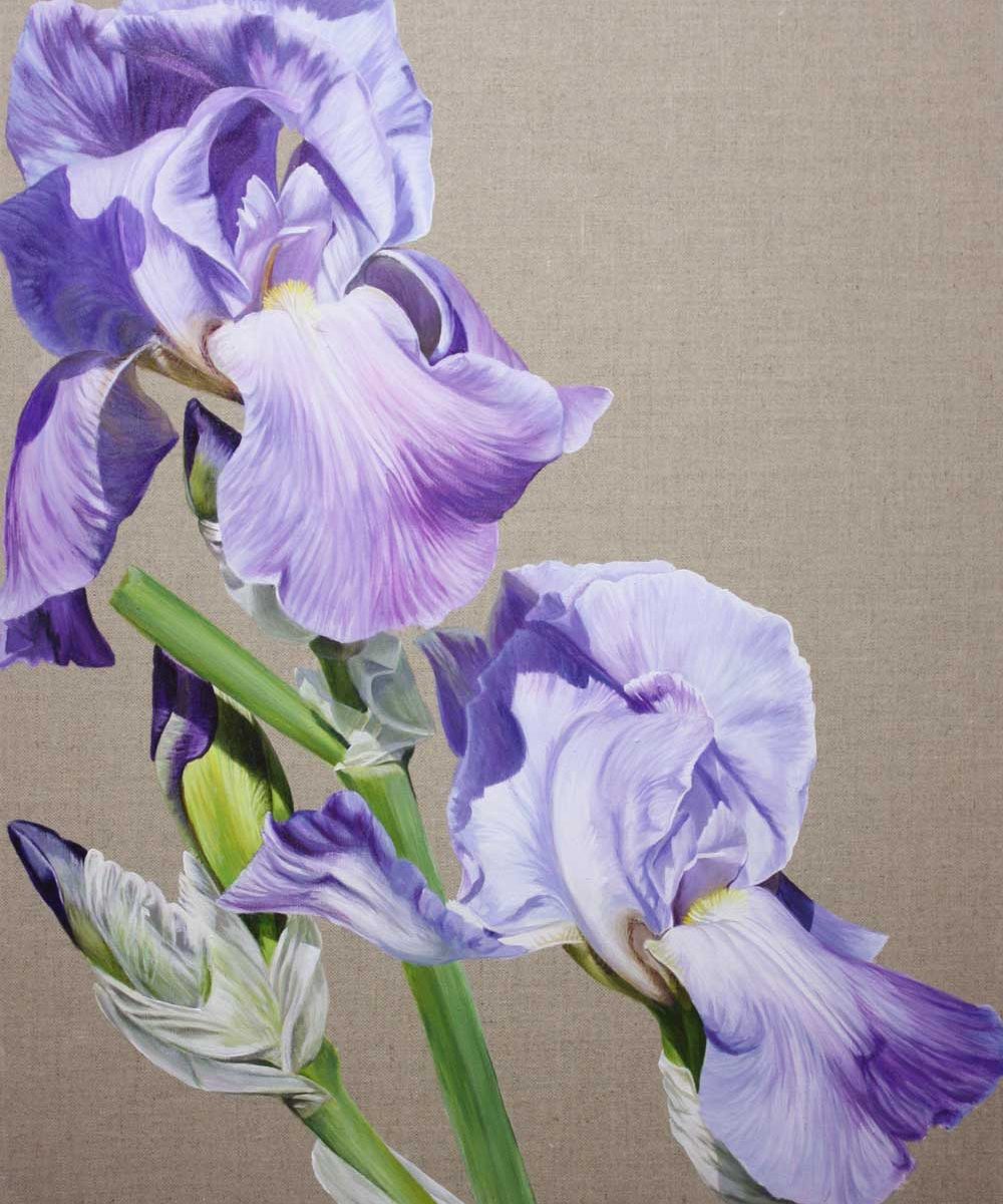 Higher (Rising Up) acrylic original flower painting on an unpainted natural linen background by Sarah Caswell. Blue bearded irises in bright sunshine.