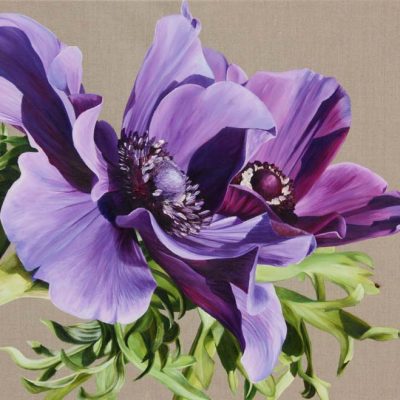 purple anemones on linen background painting by UK floral artist Sarah Caswell