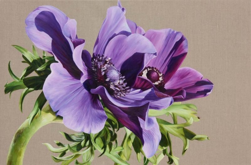 purple anemones on linen background painting by UK floral artist Sarah Caswell