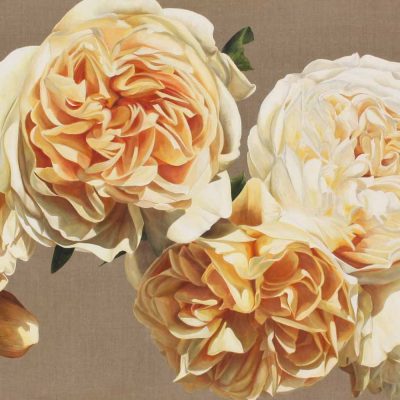 Yellow and coral David Austin roses on linen background painting by UK floral artist Sarah Caswell