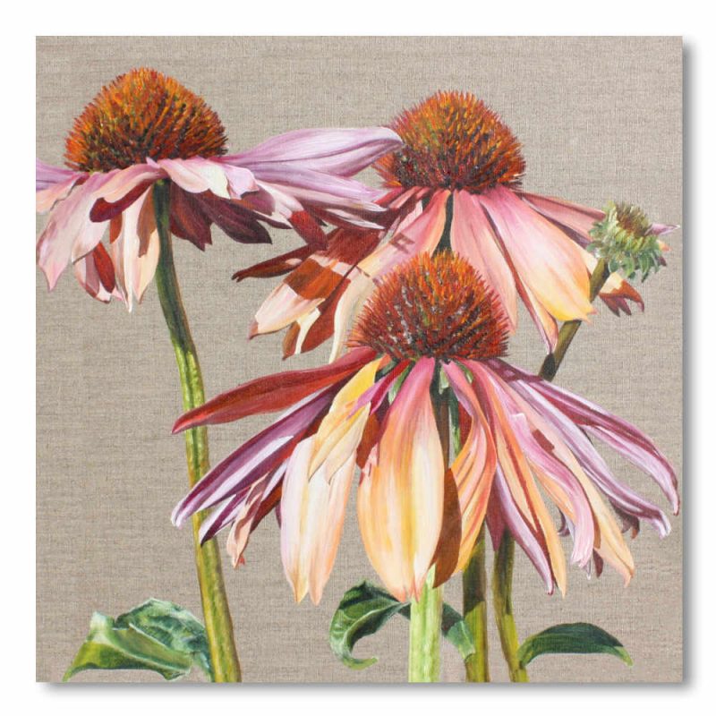 Greetings Card  - Candy Cones