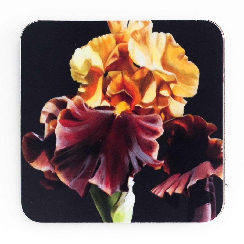Toffee and gold iris on chocolate painting by Sarah Caswell melamine coaster