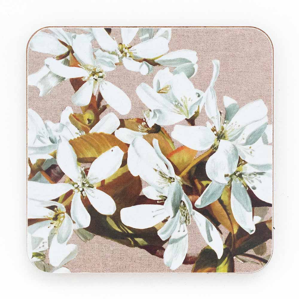 White amelanchier on linen painting by Sarah Caswell melamine coaster