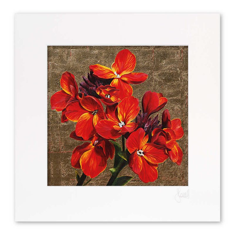 Mounted Print - Fire Flowers - Image 2