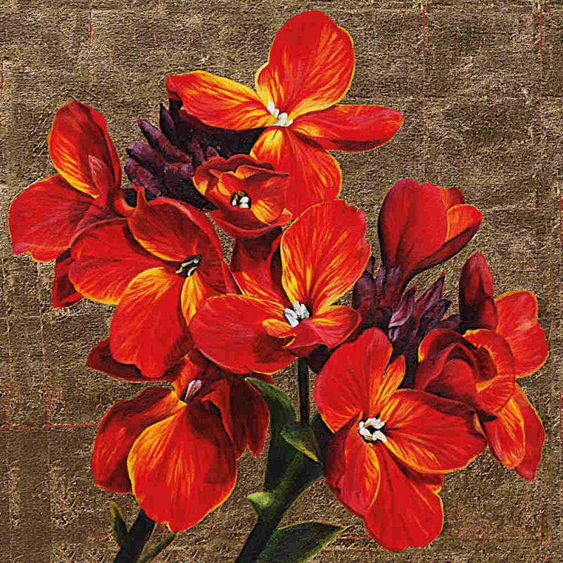 Mounted Print - Fire Flowers