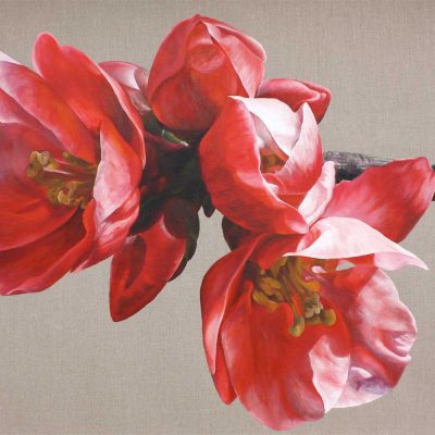 Red japonica chaenomeles on linen background painting by UK floral artist Sarah Caswell