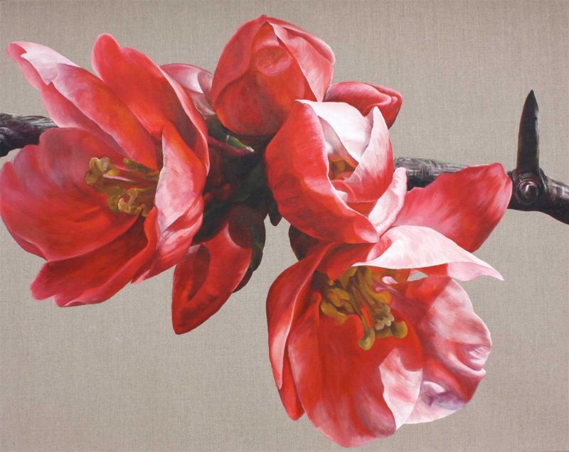 Red japonica chaenomeles on linen background painting by UK floral artist Sarah Caswell