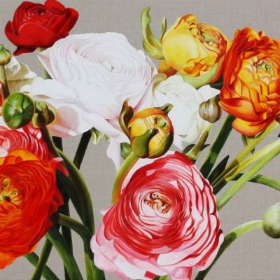 Multi-coloured ranunculus on linen background painting by UK floral artist Sarah Caswell