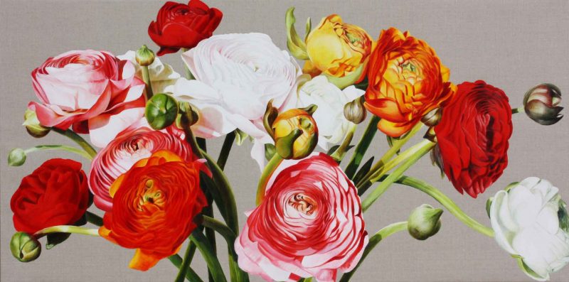 Multi-coloured ranunculus on linen background painting by UK floral artist Sarah Caswell