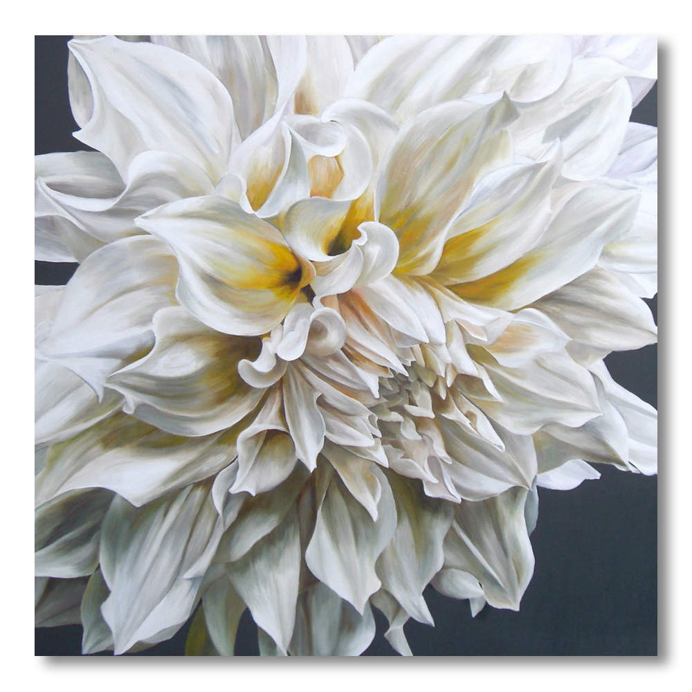 Creamy white dahlia cafe au lait on a black background painting by Sarah Caswell