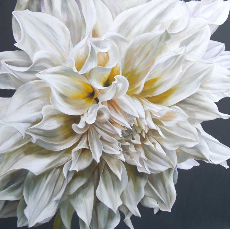 White Cafe au Lait dahlia on black background painting by UK floral artist Sarah Caswell