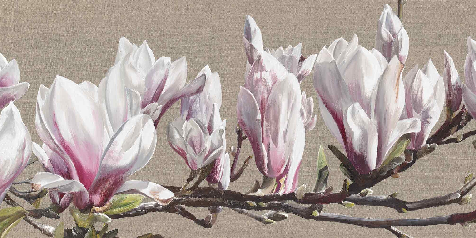 White and pink magnolia blossom on a branch on a linen background painting by UK floral artist Sarah Caswell