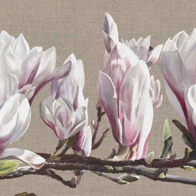 White and pink magnolia blossom on a branch on a linen background painting by UK floral artist Sarah Caswell