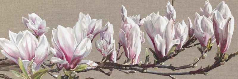 White and pink magnolia blossom on a branch on a linen background painting by UK floral artist Sarah Caswell