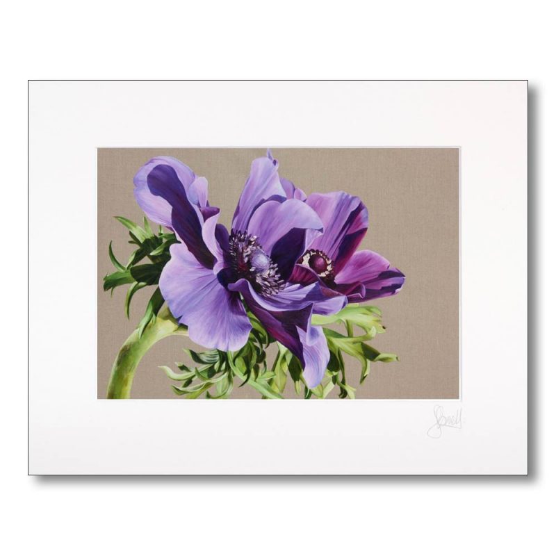 Mounted Print - Anemones IV - Image 2