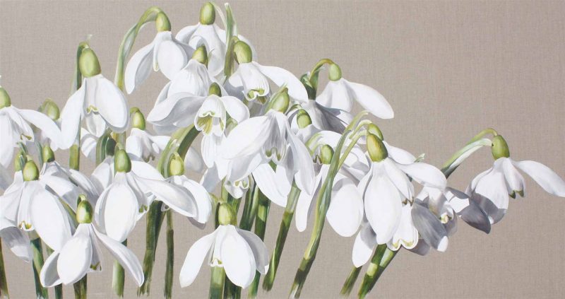 White snowdrops galanthus on linen background painting by UK floral artist Sarah Caswell