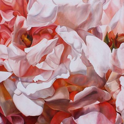 Pink Albertine roses on black background painting by UK floral artist Sarah Caswell