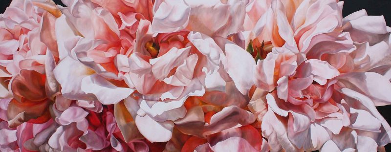 Pink Albertine roses on black background painting by UK floral artist Sarah Caswell