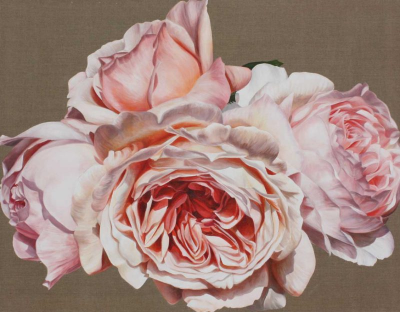 Coral pink Jubilee Celebration David Austin roses on linen background painting by UK artist Sarah Caswell