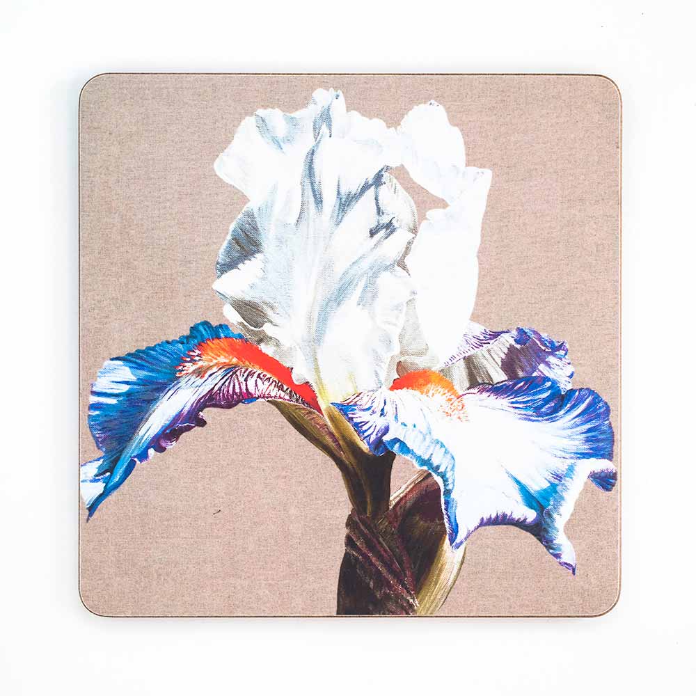 White and blue iris with orange beards on linen painting by Sarah Caswell melamine tablemat or coaster