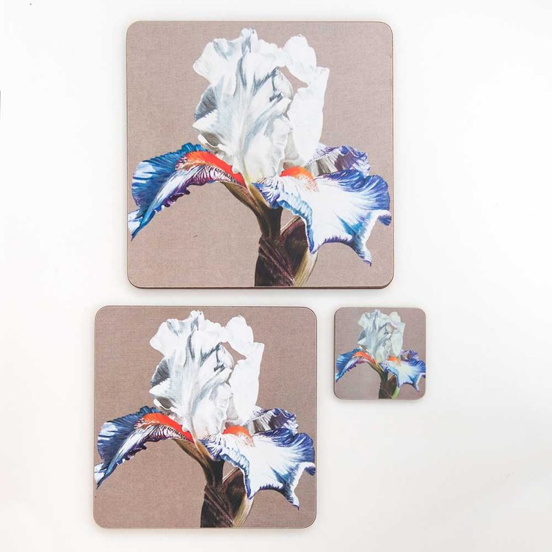 Blue and white iris with orange beards on linen painting by Sarah Caswell melamine tablemat and coaster range