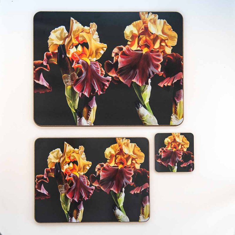 Toffee and gold irises on deep chocolate background painting by Sarah Caswell melamine tablemat and coaster range