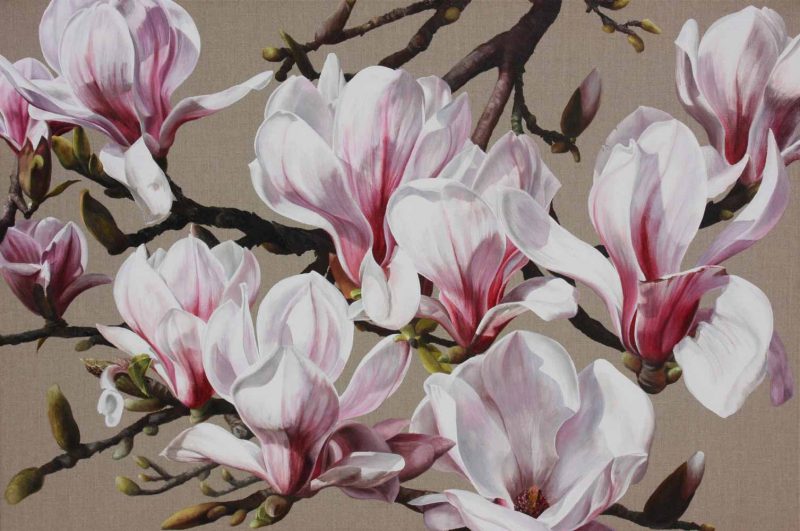 Pink and white magnolia on linen background painting by UK floral artist Sarah Caswell