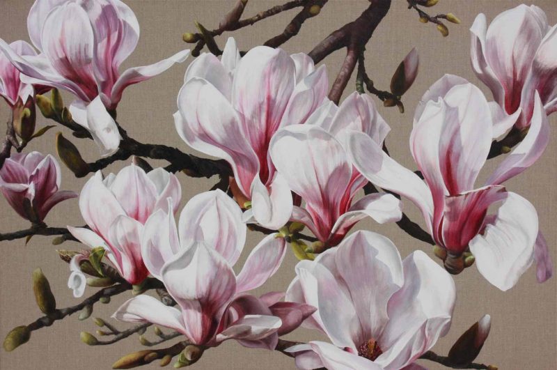 Pink and white magnolia on linen background painting by UK floral artist Sarah Caswell