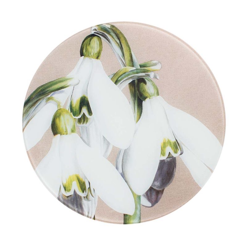 White and green snowdrops galanthus painting on linen by Sarah Caswell round glass worktop saver or coaster
