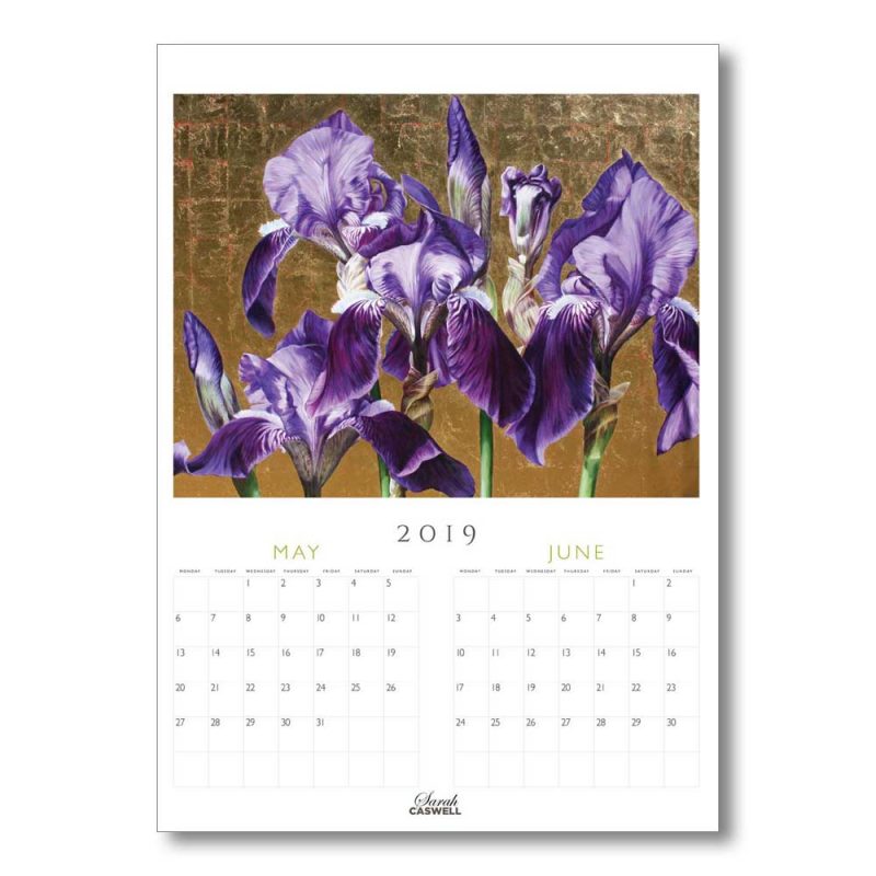 Annual Calendar - 2019 - 2020 - Image 4