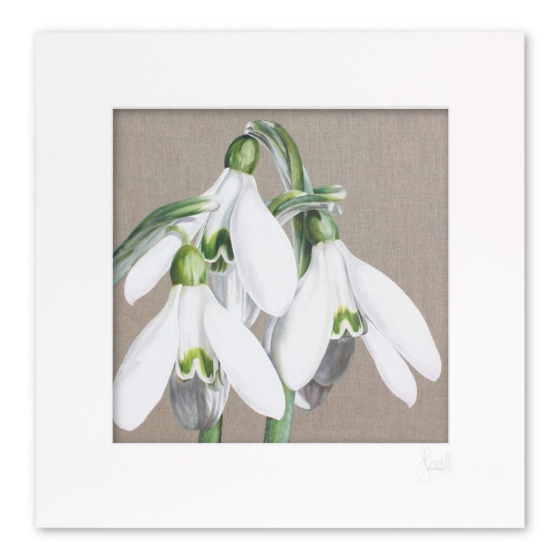 Mounted Print - Candlemasse Belles - Image 2