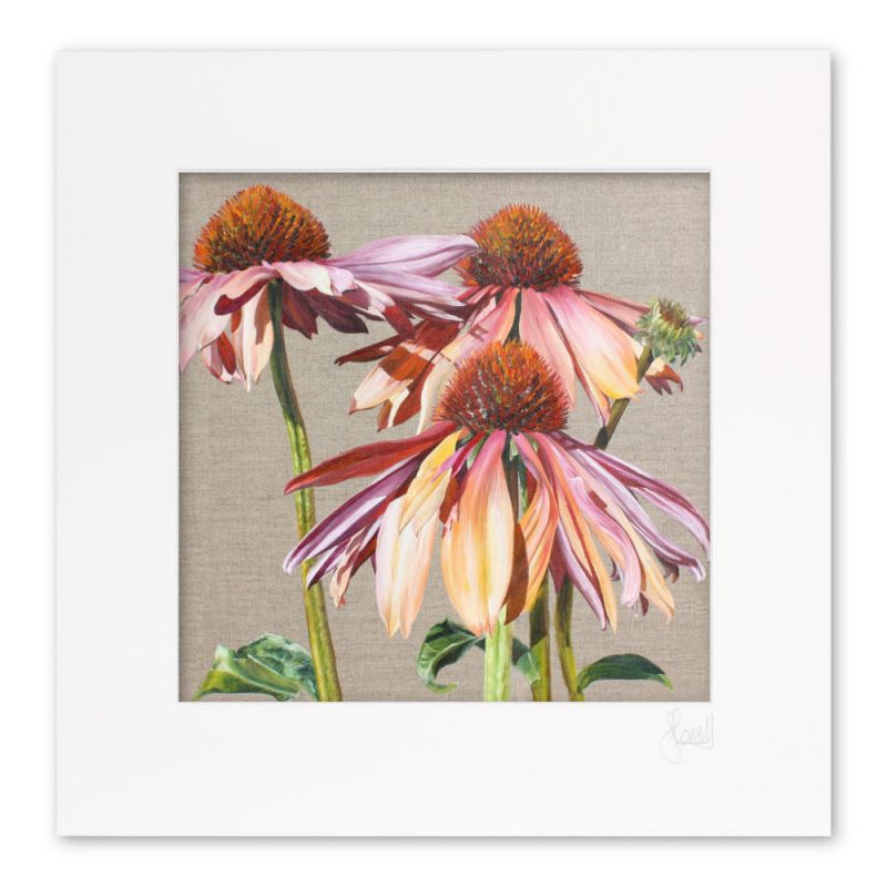 Mounted Print - Candy Cones - Image 2