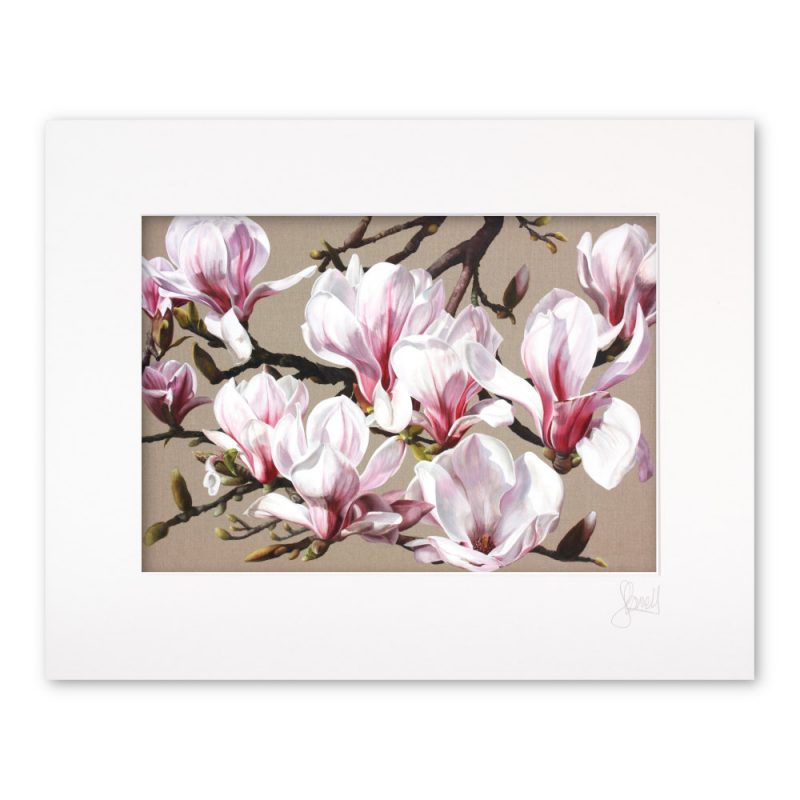 Mounted Print - The Lancaster Magnolia - Image 2