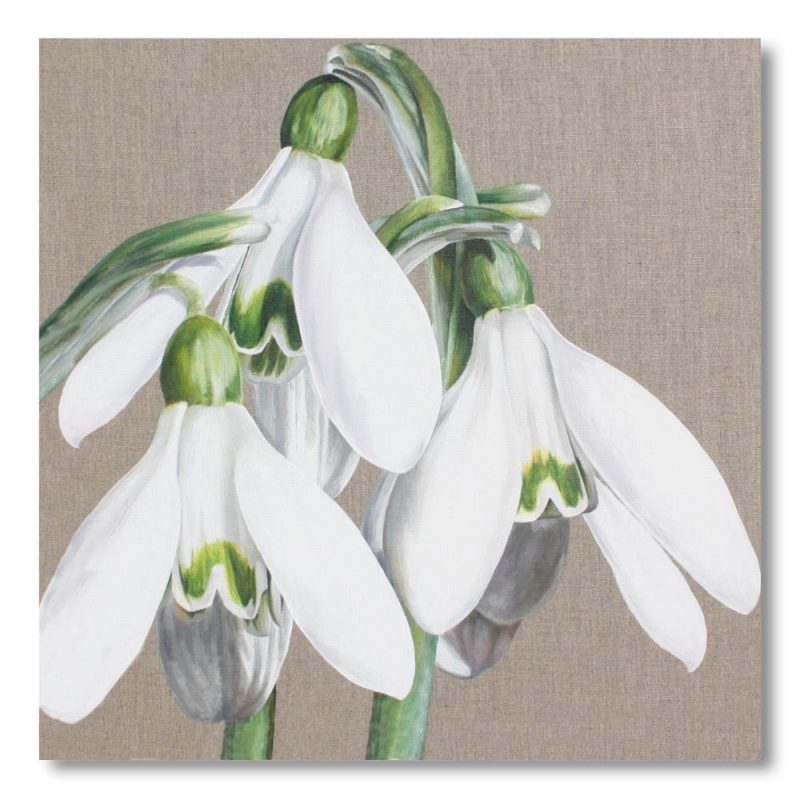 Greetings Card  - Candlemasse Belles