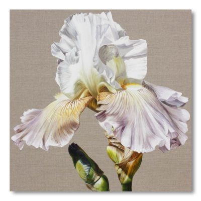 Greetings Card  - Ciel Gris