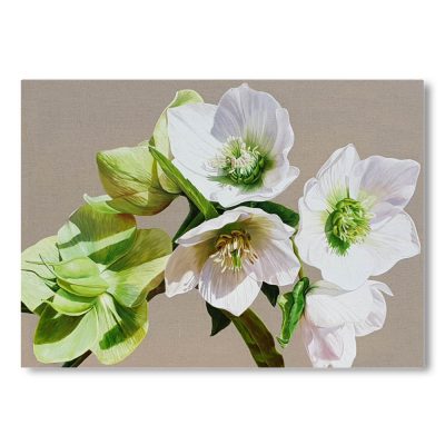 Greetings Card - Gazing Into the Sunshine
