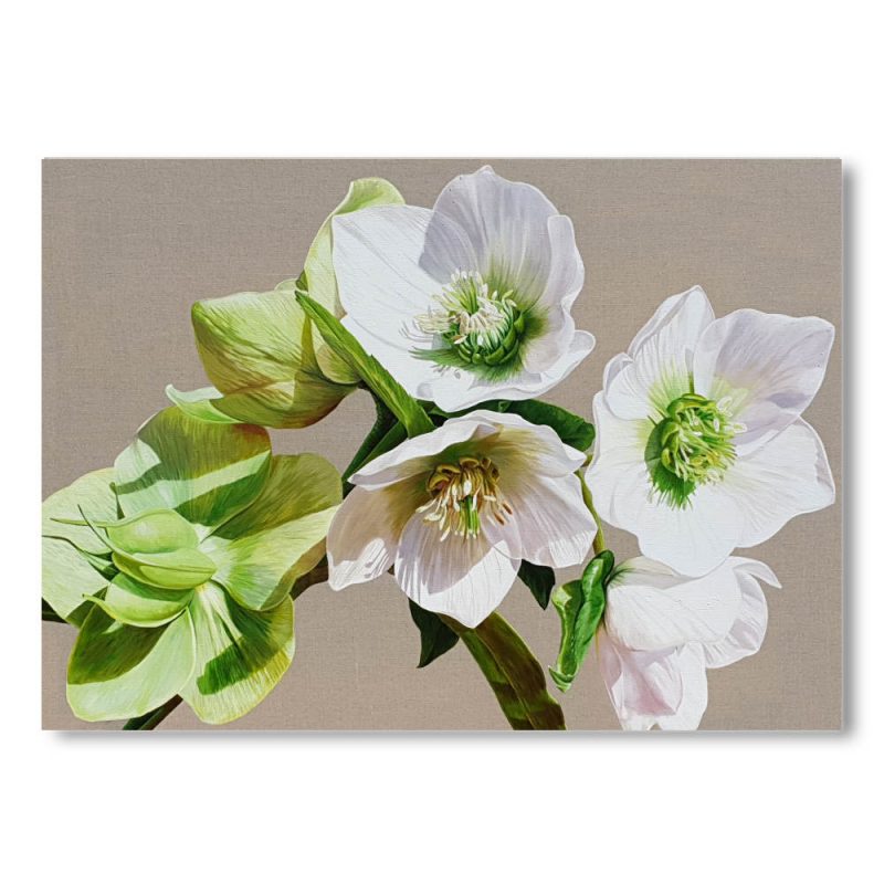 Greetings Card - Gazing Into the Sunshine
