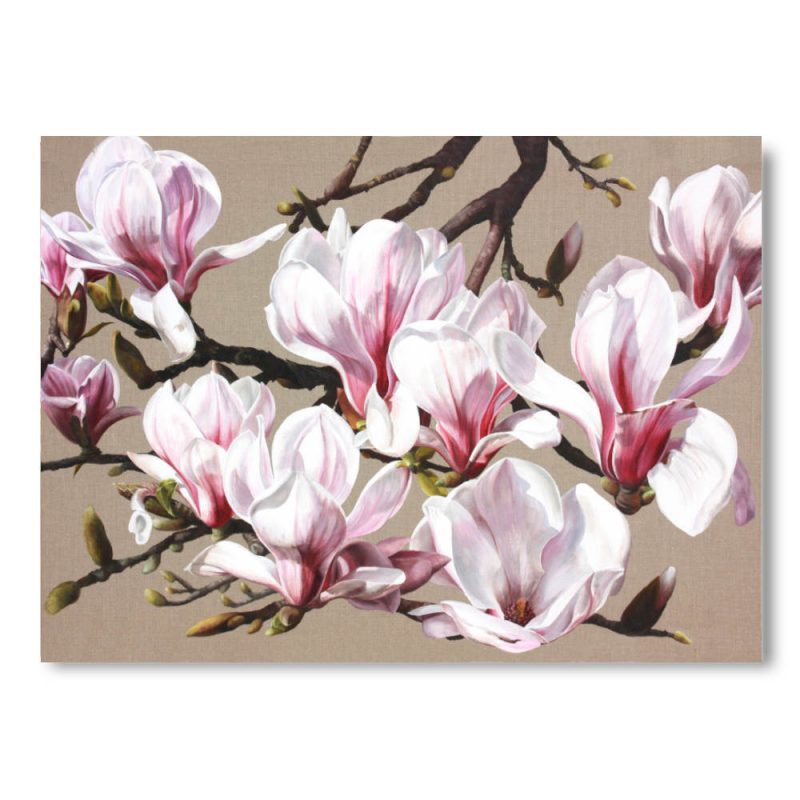Greetings Card - Magnolia Bough