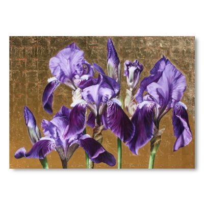 Greetings Card - The Rose Irises