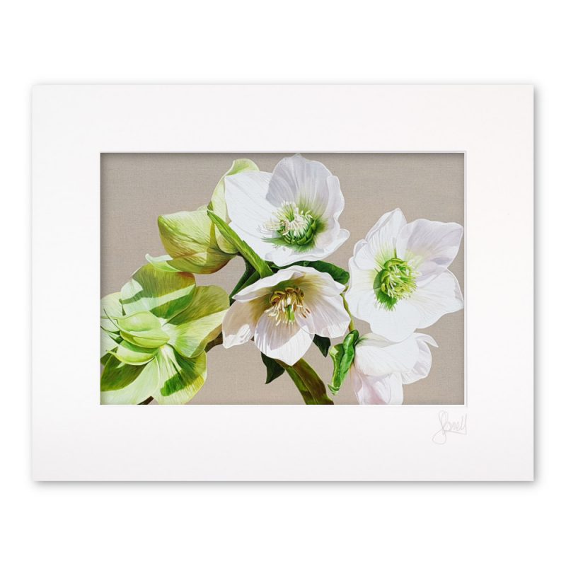 Mounted Print - Gazing Into the Sunshine - Image 2