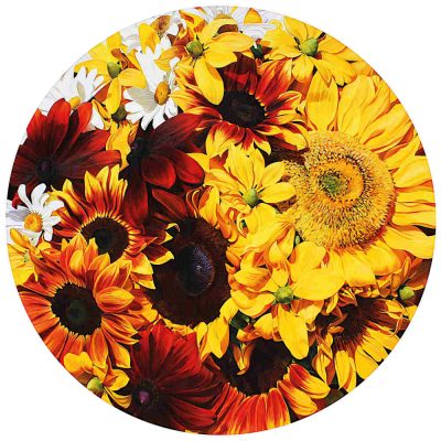 Mounted Print - The Sun