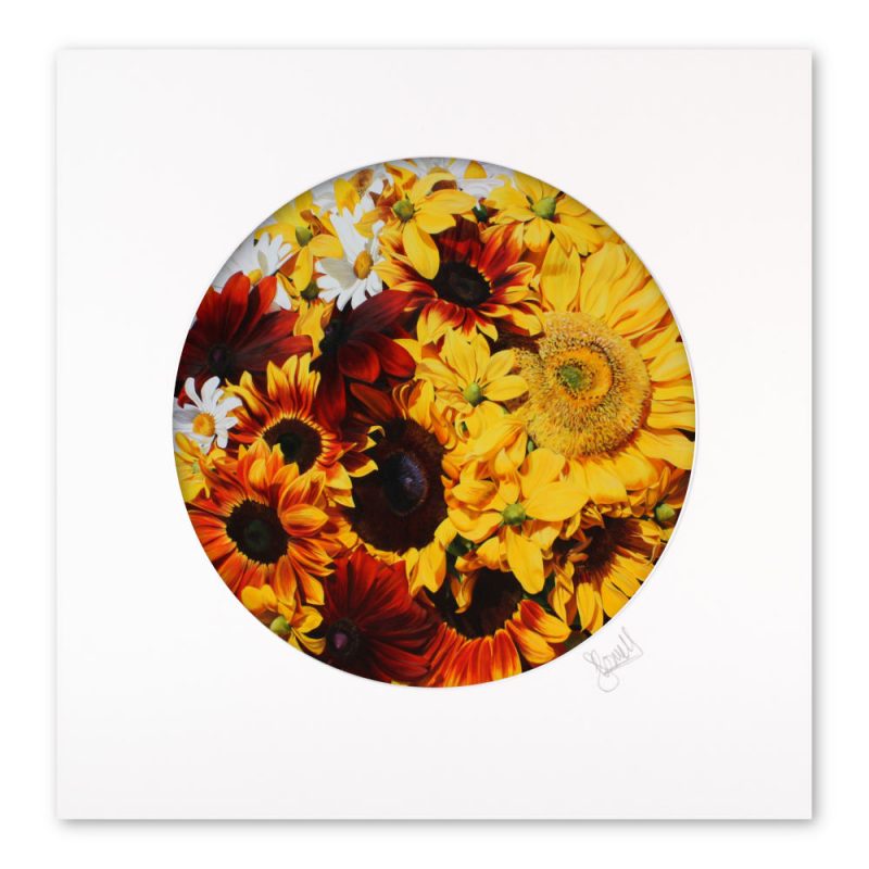 Mounted Print - The Sun - Image 2