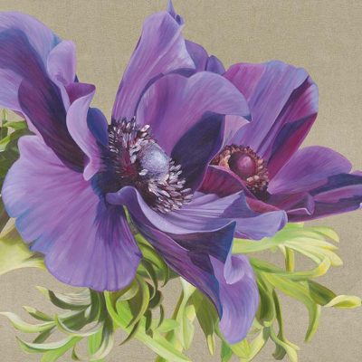 Canvas print of 'Reverence of Anemones' by Sarah Caswell