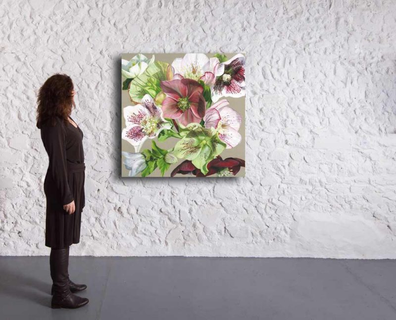 Original acrylic painting on linen canvas by Sarah Caswell, A collection of hellebores from white, pink veined, through green to darkest claret. In bright sunshine, depicted in a gallery setting.