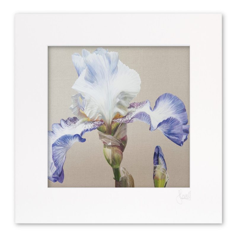 Mounted Print - China White Dancer - Image 2