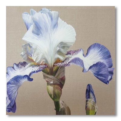 Greetings Card - China White Dancer