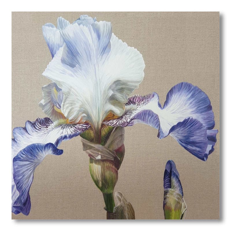 Greetings Card - China White Dancer