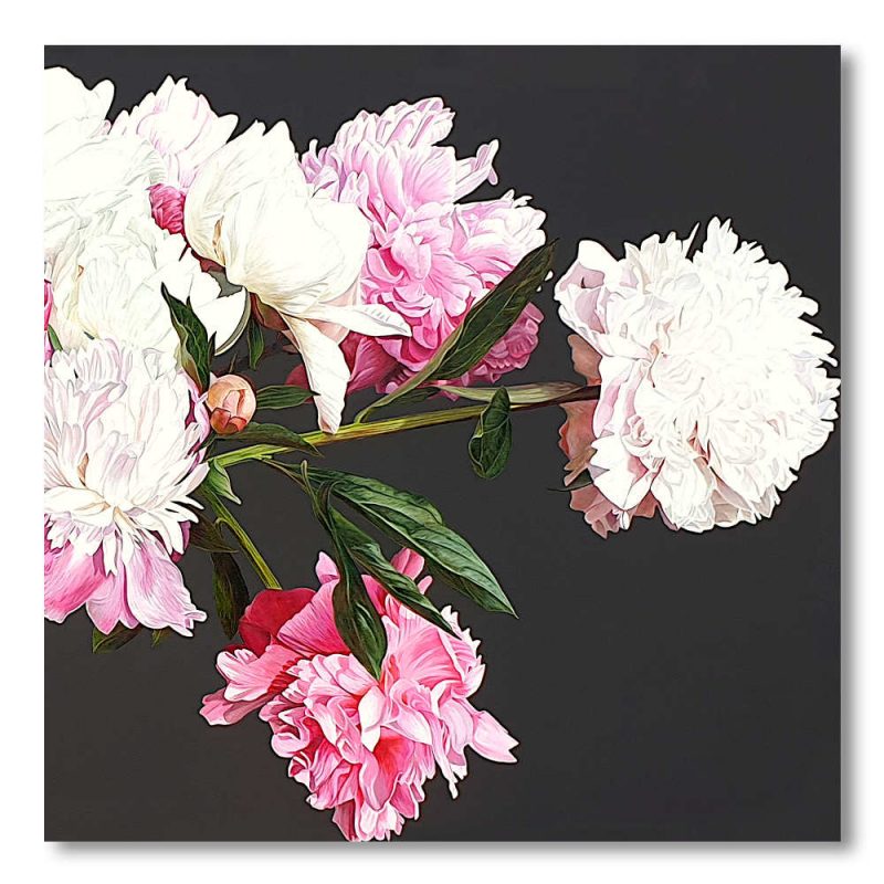 Greetings Card - Romance Prospers