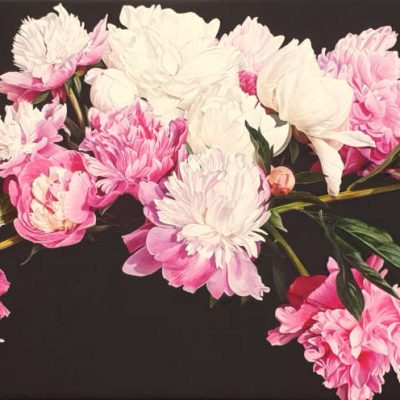 Canvas print of original acrylic painting by floral artist Sarah Caswell. Pink and white peonies in bright sunshine on dark brown background